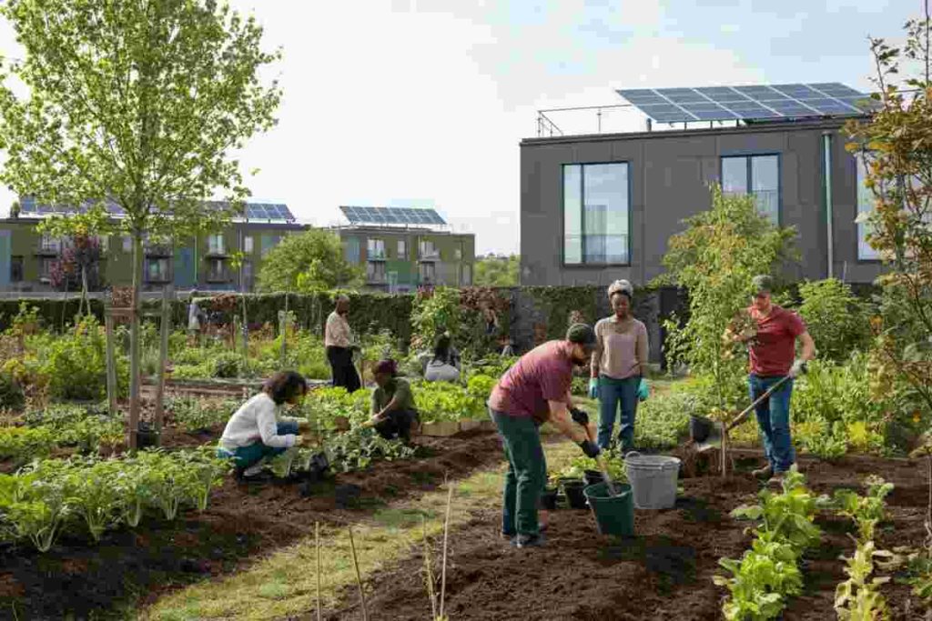 Ambiente e inclusione: come la responsabilità sociale trasforma territori e comunità