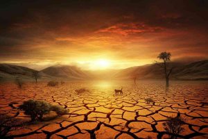 Riscaldamento globale: il drammatico aumento di 1,5 gradi previsto tra il 2025 e il 2029