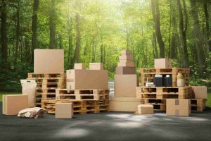Sostenibilità: il riutilizzo e il riciclo come alleati insostituibili
