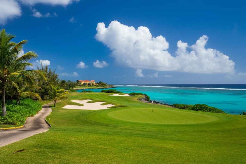 Un'avventura indimenticabile: il swing da sogno a Barbados