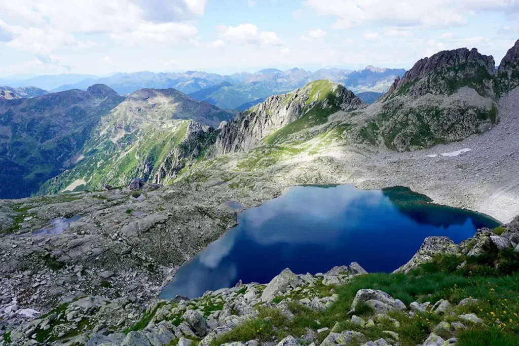cima d'asta