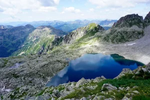 cima d'asta