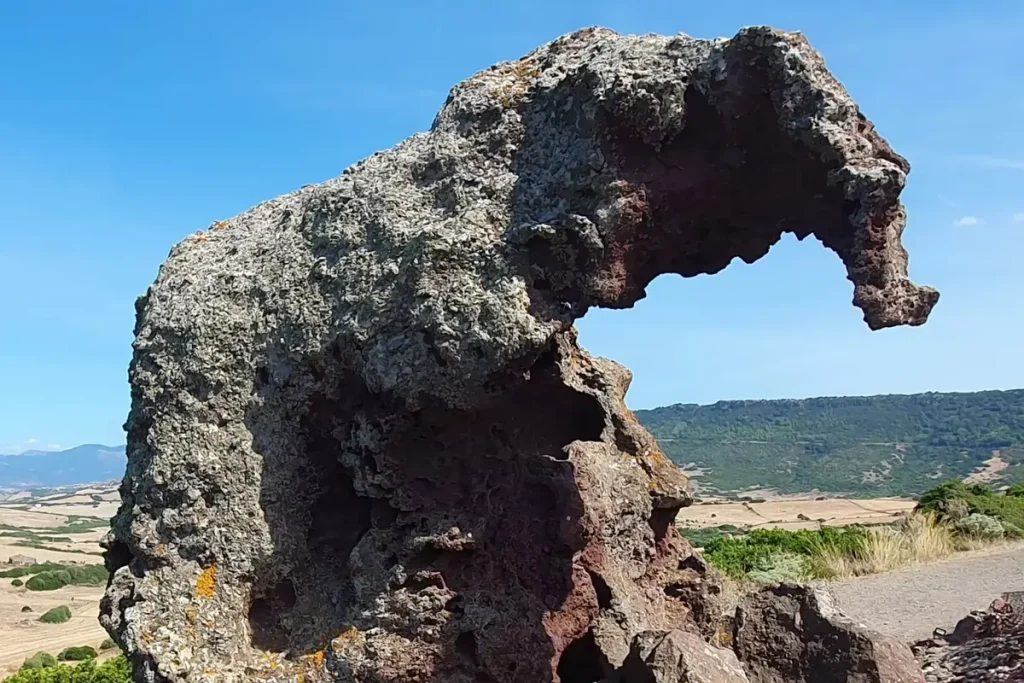 cima elefante