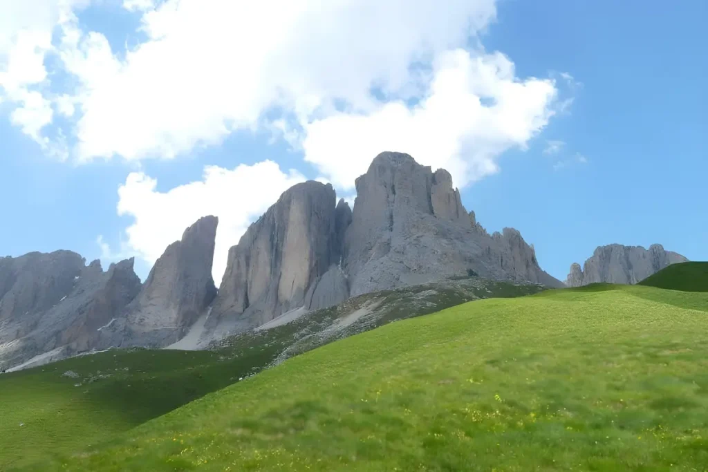 punta grohmann