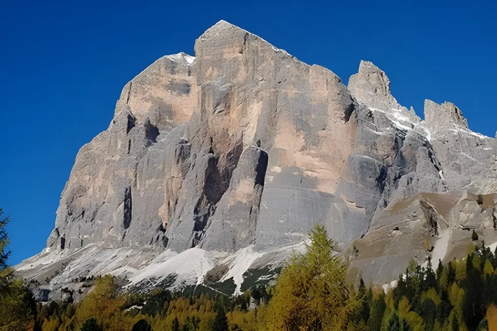 tofana di rozes