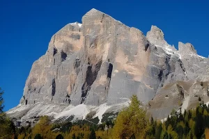 tofana di rozes