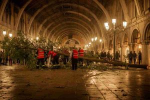 Albero crolla al terminal auto di Venezia: dieci feriti in un attimo di paura