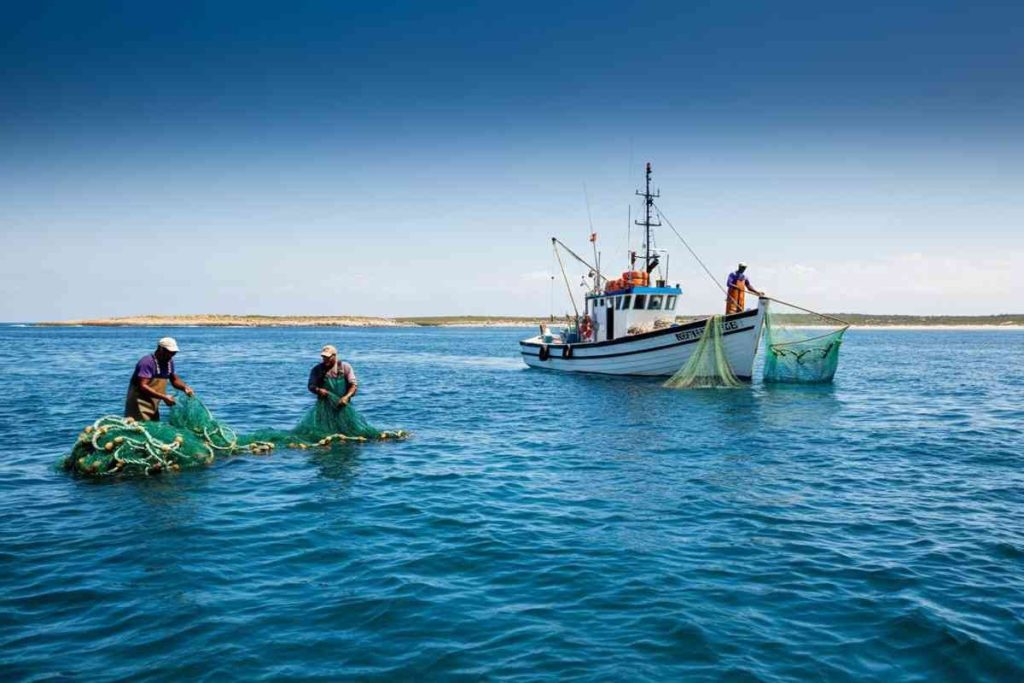 Bolton unisce forze con Wwf e Oxfam per salvaguardare oceani e diritti umani