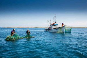 Bolton unisce forze con Wwf e Oxfam per salvaguardare oceani e diritti umani