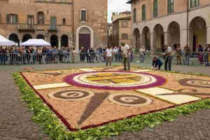 Giubileo: la magia dell'Infiorata in piazza San Pietro