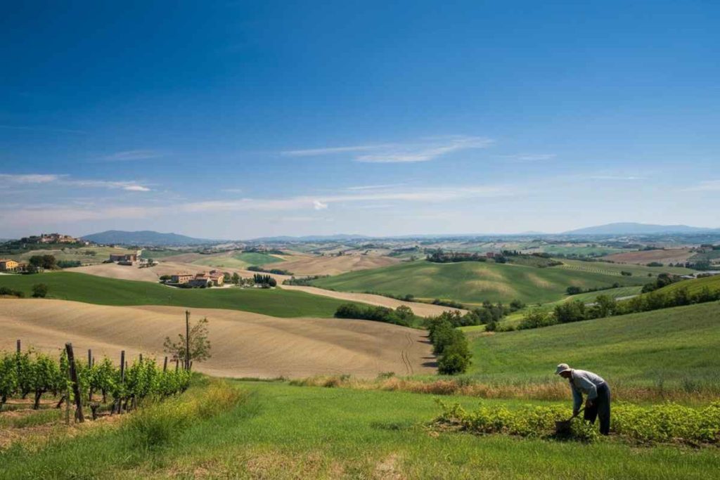 Lo spread Btp-Bund scende: cosa significa per l'economia italiana?