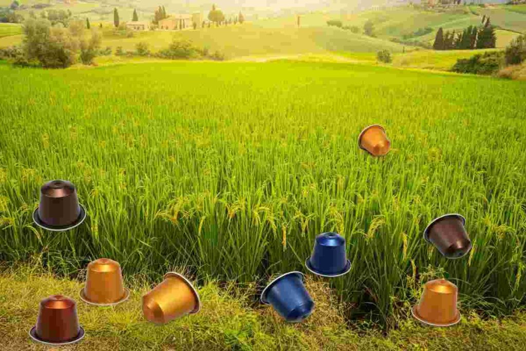 Nespresso e Banco Alimentare Toscana: un'iniziativa per trasformare il caffè in riso sostenibile