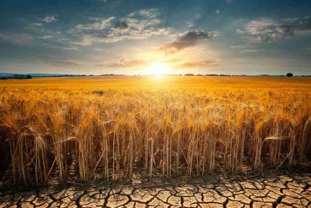 Giugno 2025: un mese da record per il caldo in Europa occidentale