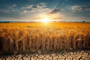 Giugno 2025: un mese da record per il caldo in Europa occidentale