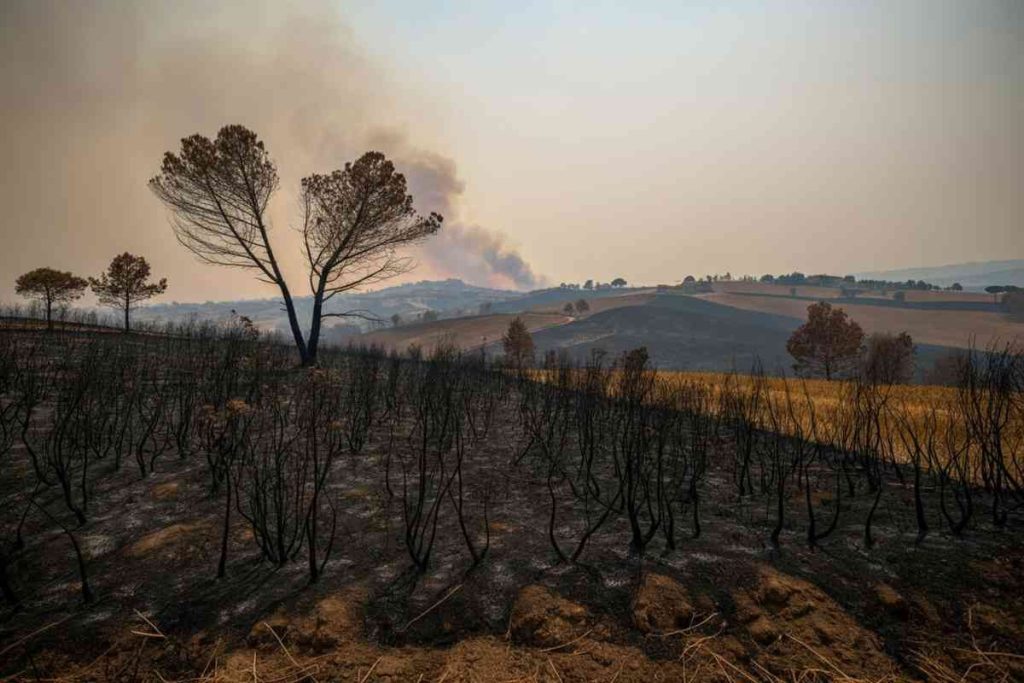 Incendi 2025: un allarme quotidiano con 3,3 roghi al giorno in sette mesi