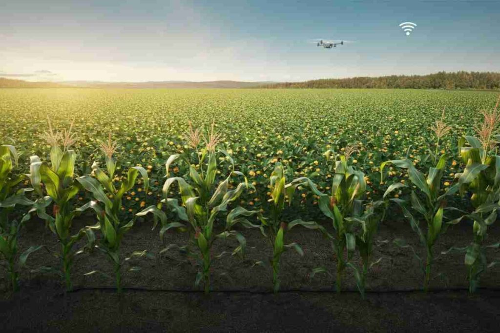 Innovazione sostenibile in agricoltura: Martino Rossi lancia progetti pionieristici