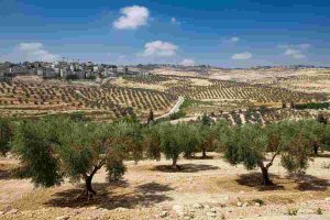 Berlino chiede a Israele di fermare la costruzione degli insediamenti