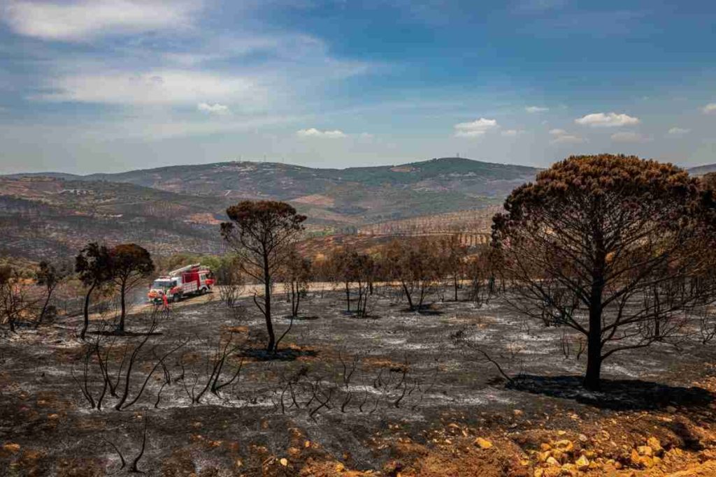 Incendi in Portogallo: 26 arresti e un'estate di fiamme