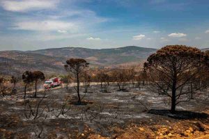 Incendi in Portogallo: 26 arresti e un'estate di fiamme
