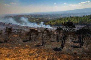 Incendi in aumento: 700 roghi nei primi sette mesi del 2025 secondo l'Iss