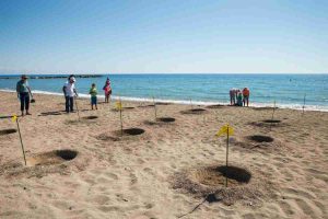 Nidi di tartarughe marine in aumento: l'innovativo supporto dei Tarta Dog