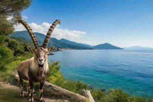 Costa ferma la riforma: niente fucili in spiaggia per la caccia