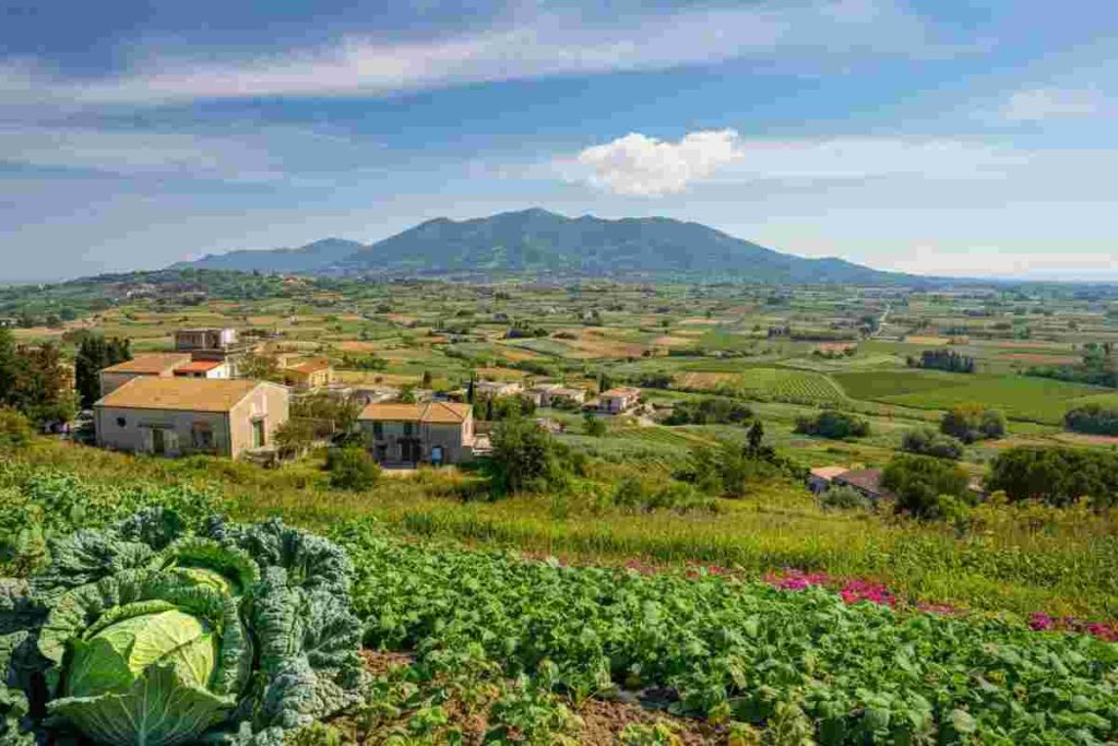 Il futuro dell'agricoltura in Campania: tra sfide strutturali e opportunità di export