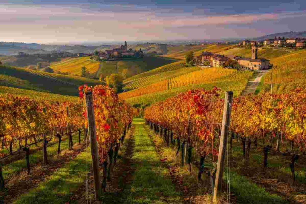 Scopri l'autunno d'arte nelle Langhe: un viaggio tra colori e cultura