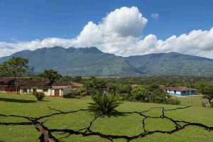 Terremoto devastante in Venezuela: scosse avvertite fino in Colombia