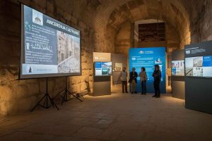 Elon Musk investe un milione di dollari in siti archeologici e scavi innovativi