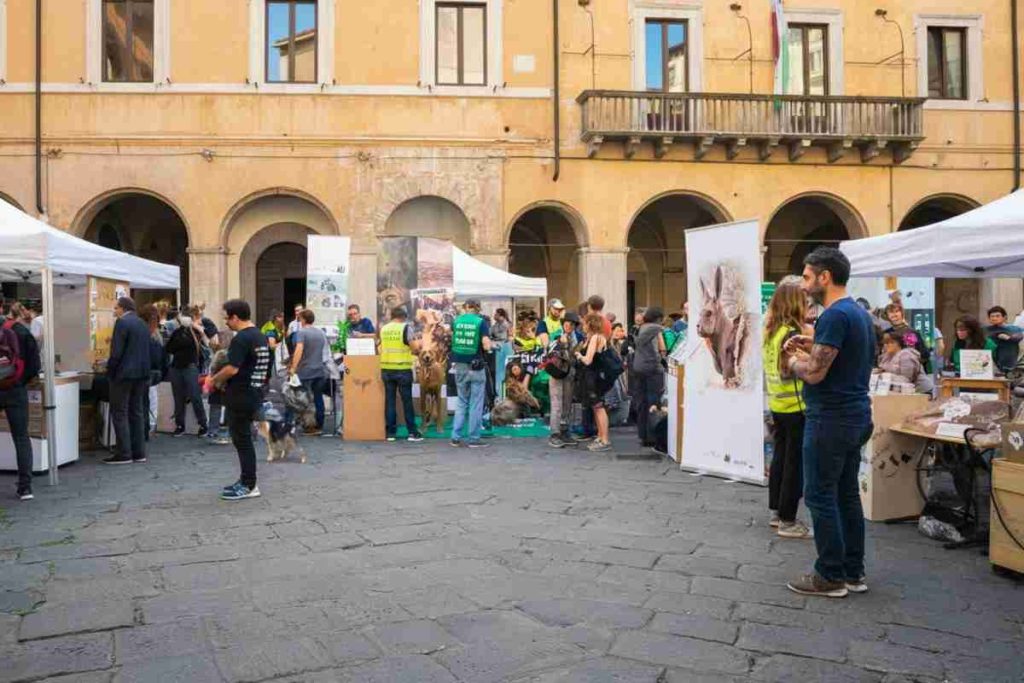 Enpa: oltre 3.400 casi di maltrattamento animale dal gennaio scorso