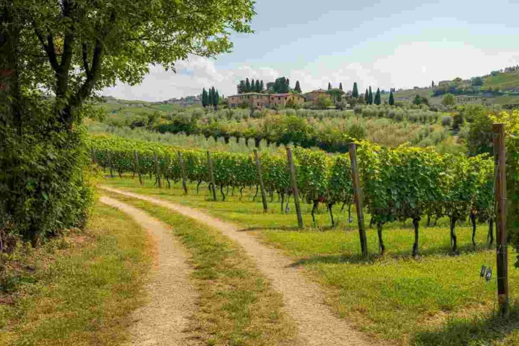 Esplora l'Italia: oltre 160 emozionanti escursioni nella natura