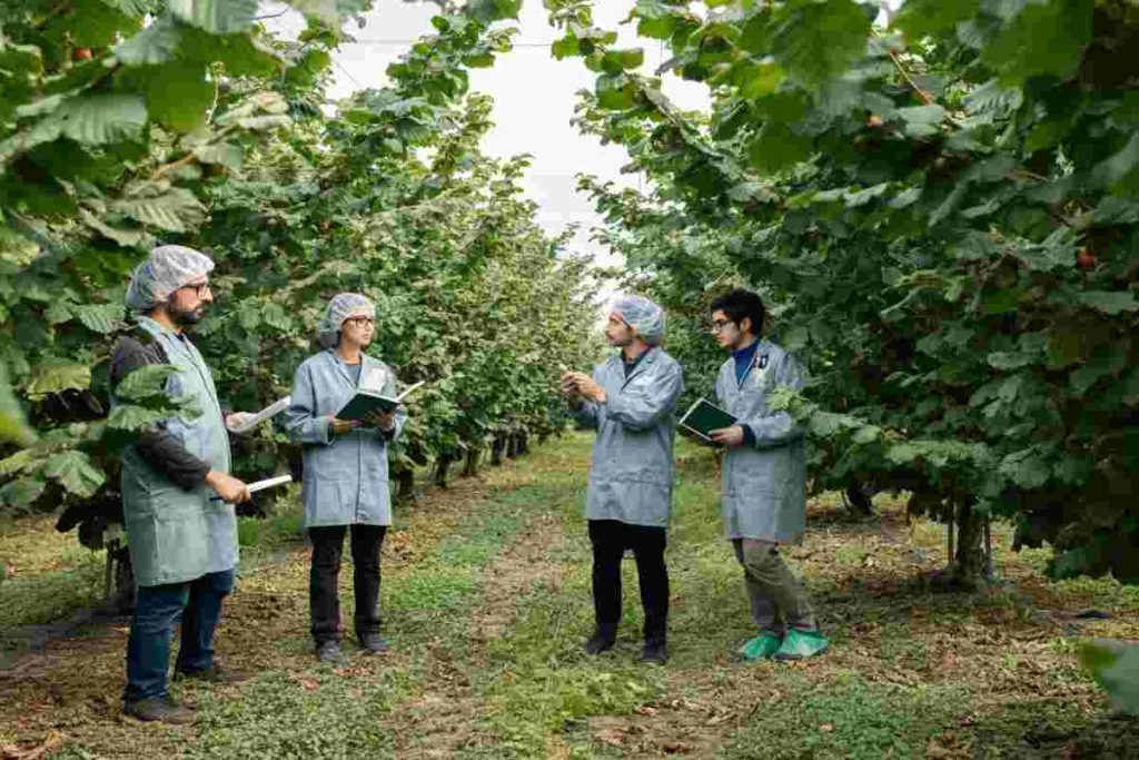 Hazelnut Agronomy Program: la nuova scuola tecnica per un futuro sostenibile nel nocciolo