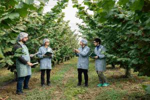 Hazelnut Agronomy Program: la nuova scuola tecnica per un futuro sostenibile nel nocciolo