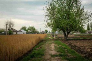 Il mistero del corpo ritrovato: chi era Eliahu Margalit, 75 anni?