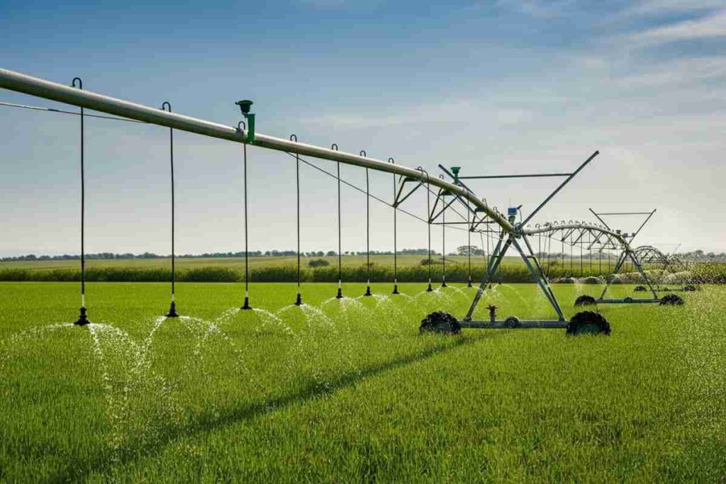 L'allerta di Roscio (Intesa Sanpaolo): la scarsità d'acqua minaccia ambiente e industria