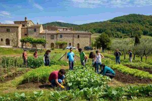 Bergolo trionfa al Cresco Award come il microcomune più green d'Italia