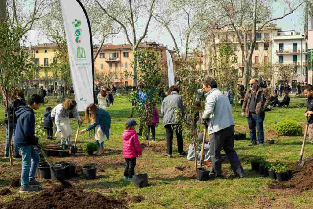 Città sempre più spoglie: il drammatico calo degli alberi secondo Legambiente