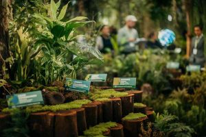 Ecomondo 2023: l'Autorità di Bacino Po esplora il futuro di acqua e territorio