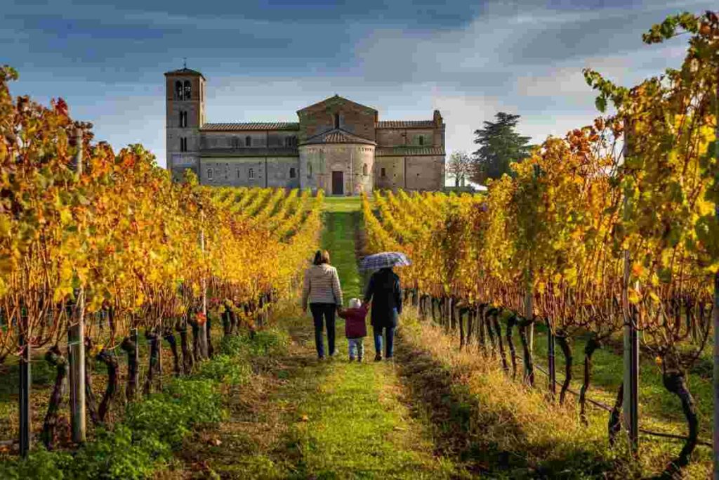 Scopri i cammini del vino: un viaggio tra abbazie e sapori nel Lazio